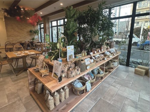 観葉植物を配した物販店の内装